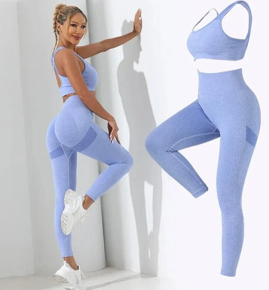 Seamless  2pcs  Gym Set