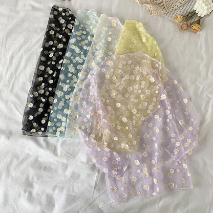 Through Transparent Long Sleeve Blouse