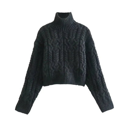 Black Turtleneck Knit Sweater
