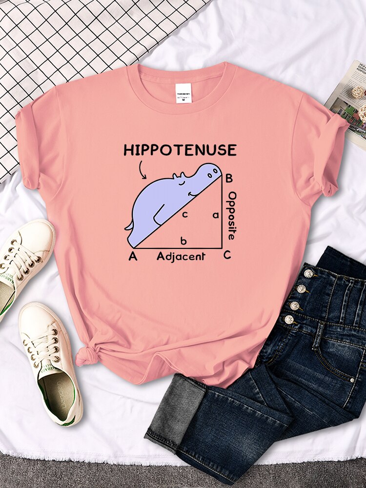 Hippo Sleeping On Math Problem Printing T-Shirt